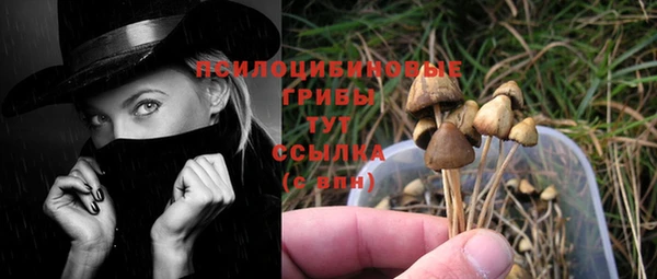мяу мяу кристалл Бугульма