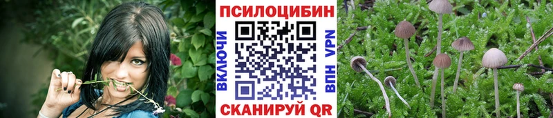 купить наркотик  Магнитогорск  Псилоцибиновые грибы мухоморы 